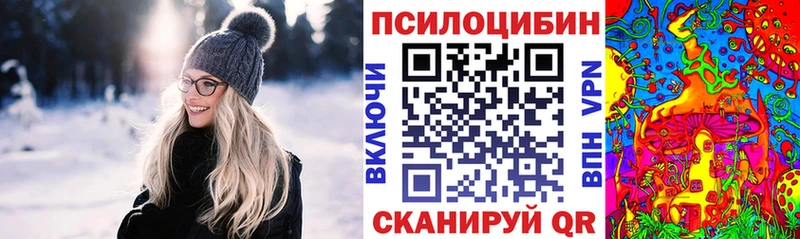 как найти закладки  Богданович  Галлюциногенные грибы Psilocybine cubensis 