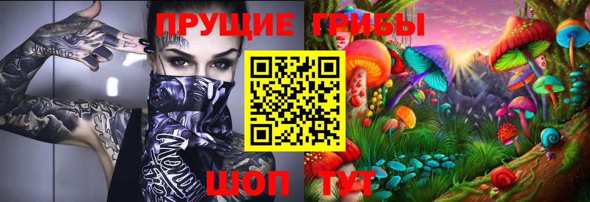 Псилоцибиновые грибы мухоморы  Галлюциногенные грибы MAGIC MUSHROOMS  Богданович  Вход с VPN 