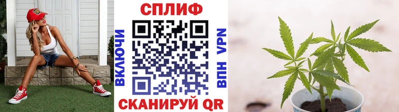 Марихуана MAZAR  маркетплейс официальный сайт  Богданович 
